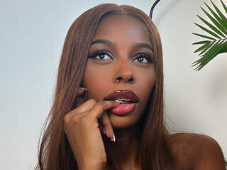 free live chart room TiaCatt